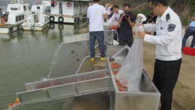 大埔县开展江河人工增殖放流鱼苗活动