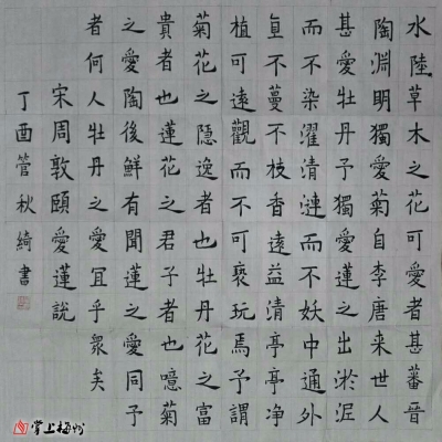 梅州日报围龙灯塔丨才艺秀