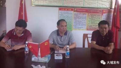 县政协主席李礼醒到枫朗检查指导新农村示范村建设工作