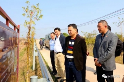 丘孝东率队检查指导河长制和畜禽养殖污染整治工作