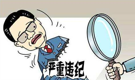 安徽省纪委驻原省卫生厅纪检组组长吴敦武接受组织审查