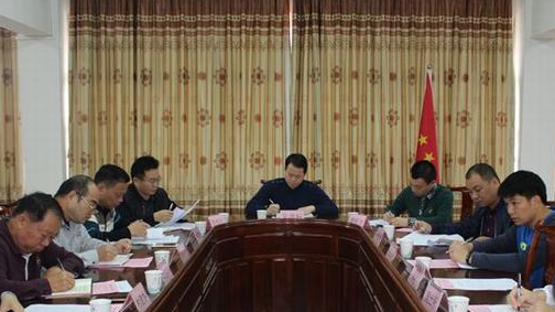 周江镇召开全镇11月份安全生产形势分析会议