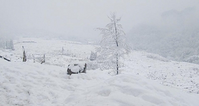 7日6时33分“大雪”  仲冬时节正式开启