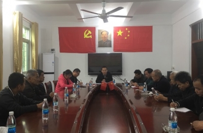 砂田镇党委书记石远平到占中村党支部上党课