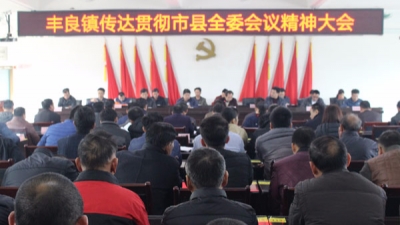 丰良镇召开传达贯彻市县全委会议精神大会