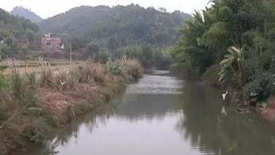 丰顺突击夜查7家重养殖户 将重拳整治偷排乱排行为