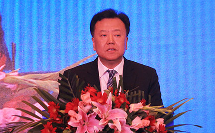 阎庆民任证监会副主席、党委委员