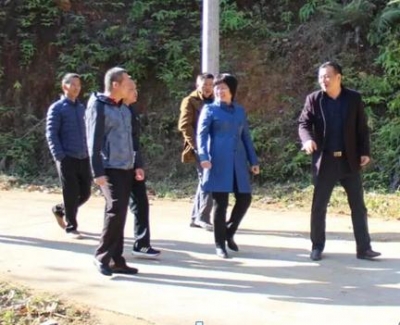 饶凌云率队到大埔枫朗镇调研新农村示范村建设工作