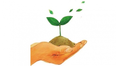 教师园地丨绿色德育，培养健康人格