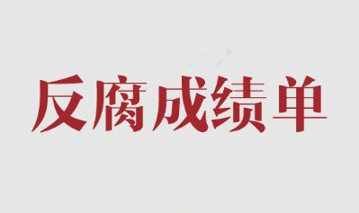 2017年中国反腐“成绩单”：近20名中管干部被立案审查