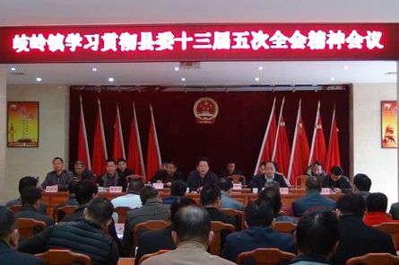 五华岐岭镇：深入贯彻落实党的十九大精神