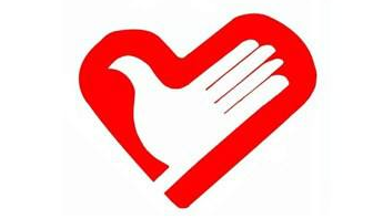 团县委组织开展国际志愿者日系列活动