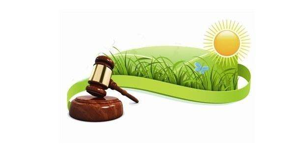 大埔法院司法救助为民解忧  共发放救助金24余万