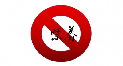 梅州市督查组到兴宁督查畜禽禁养区清理整治工作