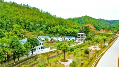 平远河头镇：生态水乡 留住乡愁 奔向小康