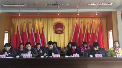 八乡山镇妇女第三次代表大会顺利召开