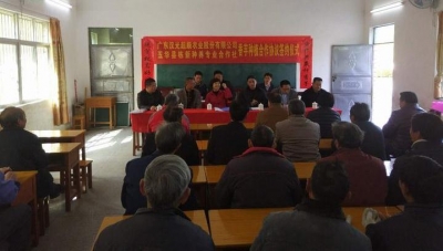 长布镇举行栋新村香芋种植合作协议签约仪式