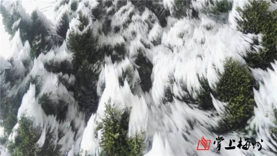 “最暖年”为什么这么冷？国家气候中心回应→