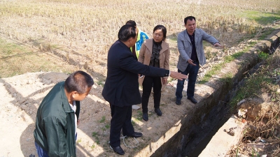 龙岗镇落实党代表提议提案办理工作 获村民好评