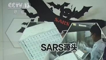 13年不懈追踪 中国科学家寻获SARS病毒源头:菊头蝠