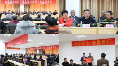 水寨镇大岭村慈善会召开2017年度工作总结会