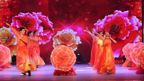 “法润梅州·平安万家”梅州市法治文艺巡回演出走进大埔