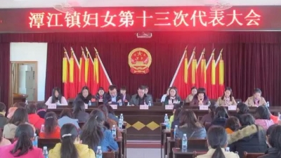 潭江镇妇女第十三次代表大会召开