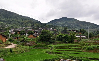 收益37万元！平远梅畲村盘活闲置土地成农民增收“聚宝盆”