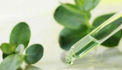 研究人员借纳米技术造植物“台灯”