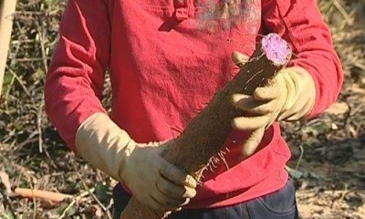 全市最多！蕉岭地理标志保护产品增至4个