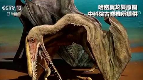 大发现！这堆石头里居然藏着这么多秘密