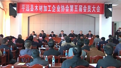 平远“木材加工企业协会”更名为“家居行业协会”
