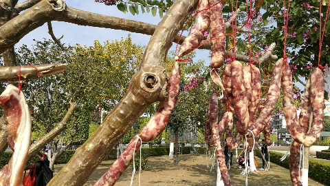 兴宁文化广场：绿化树长出“腊肉灌肠” 色香俱全！