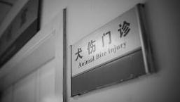 明年起兴宁市疾控中心将撤销犬伤门诊业务