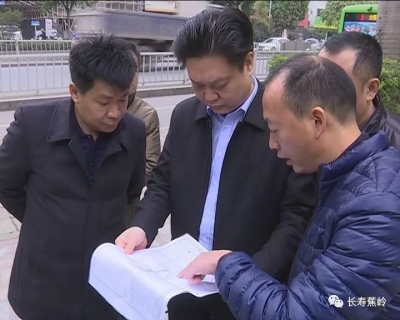 县委书记陈伟明率队调研市政项目建设