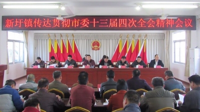 新圩镇召开传达贯彻市委十三届四次全会精神会议