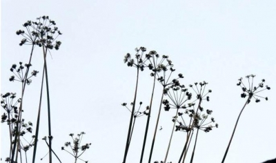 诗歌台丨离乡之途、过梅州桥、夜下