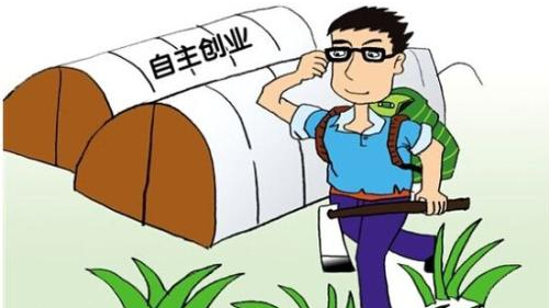 丰顺县召开“领头雁”农村创业青年致富带头人座谈会