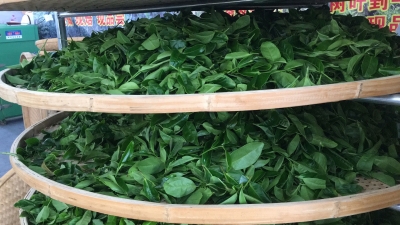 梅州这些特产荣登名特优新农产品“国榜”，你都尝过吗？