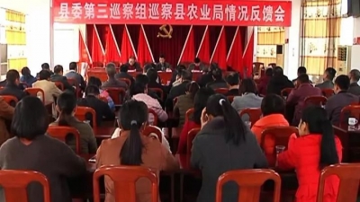 平远县委巡察组反馈十三届县委第一轮巡察情况