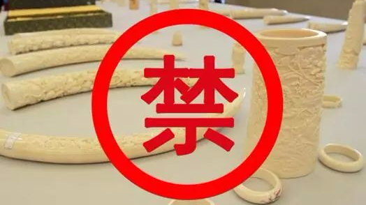 今天起，再买卖这东西就是触碰法律红线！
