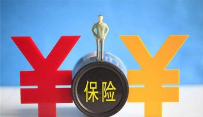 我市前11月保险总保费47.04亿元  保费增速同比大幅放缓
