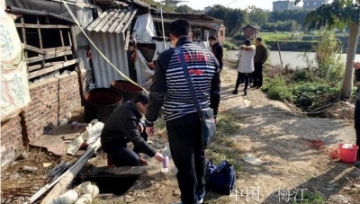 区环保检查组到桃西村开展周塘水污染联合执法检查