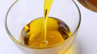 蕉岭县全力推进餐饮服务单位食用油食品安全监管工作