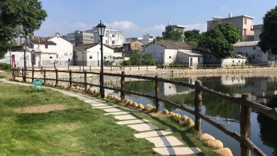 实施乡村振兴战略 汤南镇新楼村由“脏乱差”变“绿美净”