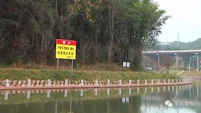 张善波带队巡河，打造大柘平安生态水系