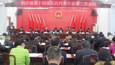棉洋镇召开第十四届人民代表大会第三次会议