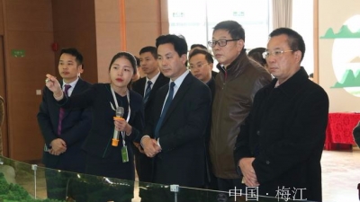 香港铜锣湾集团到梅江区考察投资营商环境