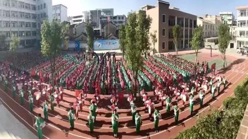 汤坑镇第一中心小学入选首批“广东省基础教育研究实验基地学校”