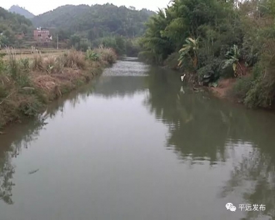 李远林带队开展平远县级河长巡查活动